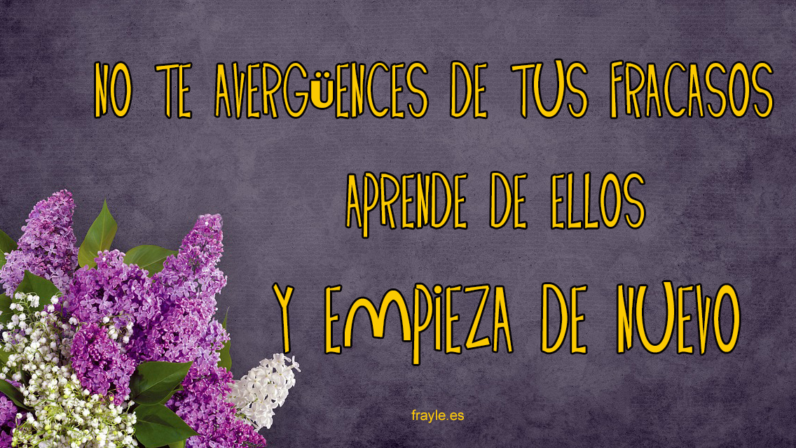 Frases para Compartir